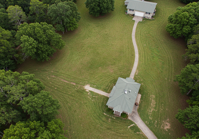 Florida Yard Freedom: Conquer Fleas, Ticks & Fire Ants!