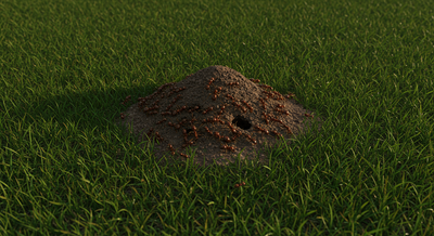 Once a Year Fire Ant Control in Sebastian, FL – Halo's Pest Arrest